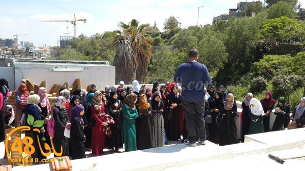 nesa2 wafed ej (1).JPG